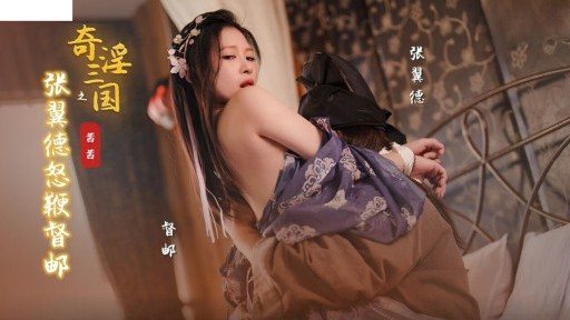 XSJ-144 三国志の張一徳