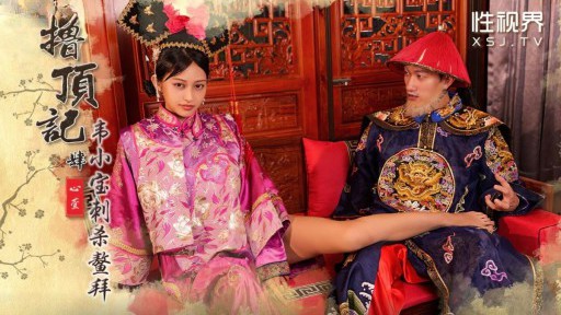 XSJ-158 魏小宝による黄梅暗殺