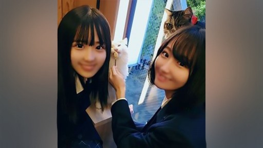 FC2PPV-2477518 正統派美少女の女子生徒2人を密室に連れ込み猥褻淫行・・・発展途上の純白な身体に3P生中出し!