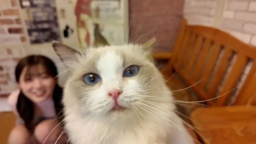 FC2PPV-4511406 可愛すぎ超レア　　猫カフェデートで猫にメロメロ「可愛い..」、デート後俺のムスコにも夢中だったのは二人だけの内緒