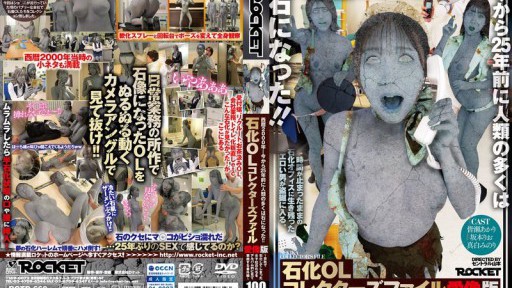 RCTD-660 石化OLコレクターズファイル 愛像版